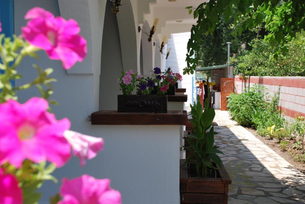 Myra Hotel Dalyan Zewnętrze zdjęcie