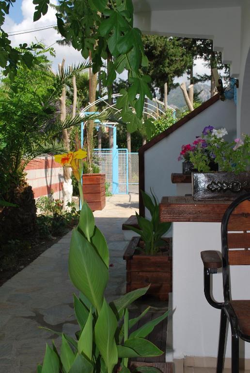 Myra Hotel Dalyan Zewnętrze zdjęcie